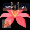 jiuyou九游娱乐 logo