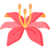 jiuyou九游娱乐 logo