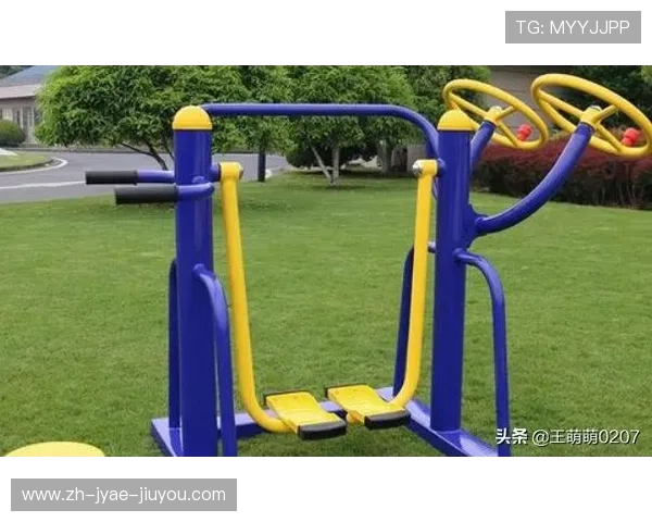 户外健身器材工厂直供渠道及生产实力调查