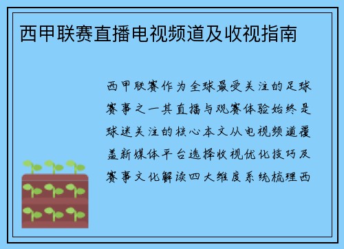 西甲联赛直播电视频道及收视指南