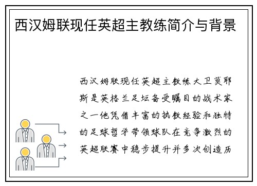 西汉姆联现任英超主教练简介与背景