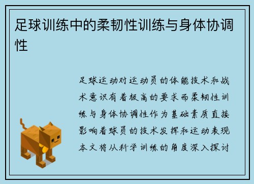足球训练中的柔韧性训练与身体协调性