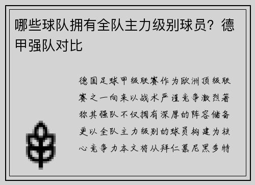 哪些球队拥有全队主力级别球员？德甲强队对比